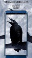 Crow Sounds App imagem de tela 1