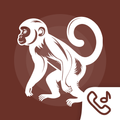 Monkey Ringtones and Sounds