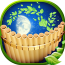 Nature Sounds to Sleep to APK