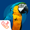 Ringtones and Sounds Parrots APK