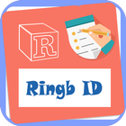 Ring BiD icono