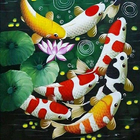 Serenity Koi Fish Wallpaper أيقونة