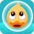 Pop Duck