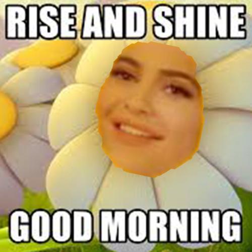 Rise And Shine Meme For Android Apk Download