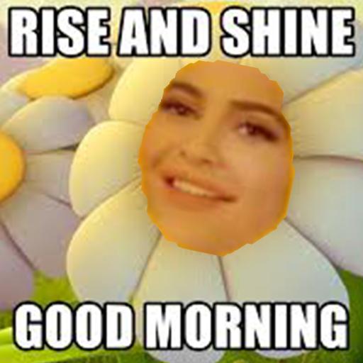 Rise And Shine Meme Wallpaper