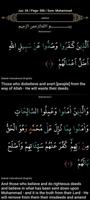 Quran & Elif Ba スクリーンショット 3