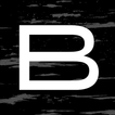 The Birch Group