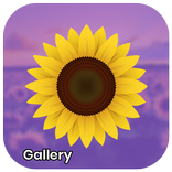 Gallery - Photo and Video Player
