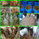 animal feed fermentation APK