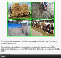 animal feed fermentation screenshot 1