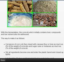 animal feed fermentation screenshot 2