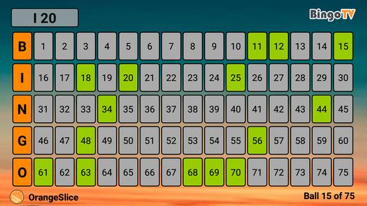 Bingo para television
