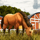 Real Horse Racing World Rider APK