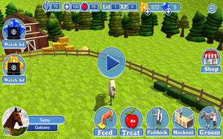 Real Horse Racing World Rider screenshot 2