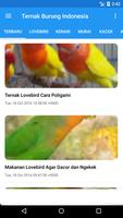 Ternak Burung Indonesia screenshot 2
