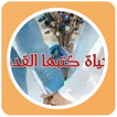 رواية حكايه كتبها القدر