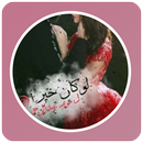 رواية لو كان خيراً APK