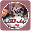 قصص مغربية  : قصة نبض القلب