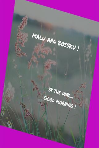 Malu Apa Bossku For Android Apk Download