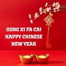 Chinese New Year 2020-APK