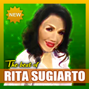 Kumpulan Lagu Rita Sugiarto Full Album Offline APK