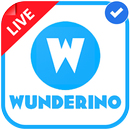 WUNDERINO-SLOTS RULES APP APK