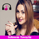 Sebnem Tovuzlu (internet olmadan) APK
