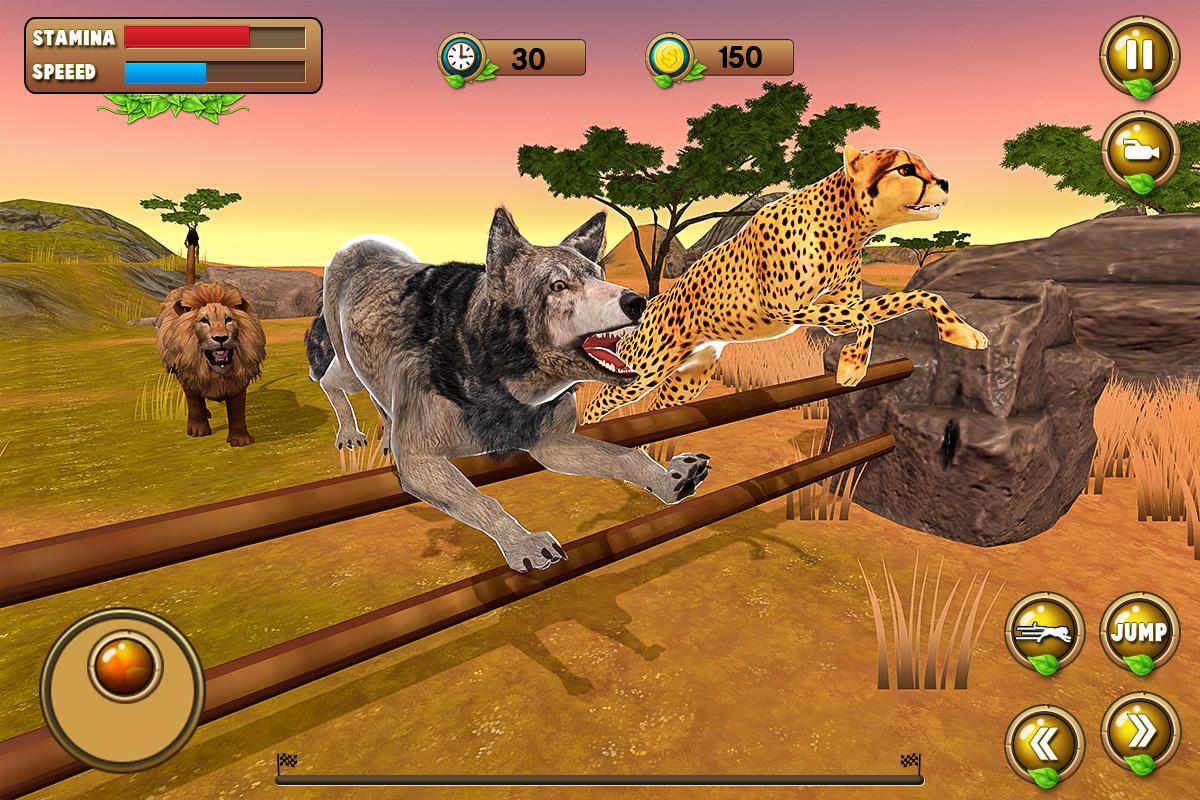 Wild animals игра