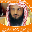 شرح رياض الصالحين صوت عبد رزاق APK