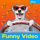 Funny Video pro - Comedy Video ikon