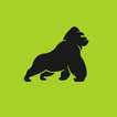 XAPE Vpn Pro icon