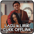 Lagu Rizky Febian Cuek Offline APK