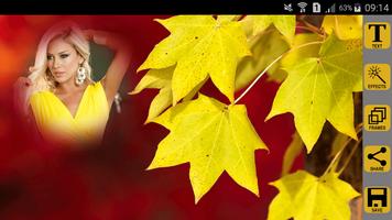 Autumn Photo Frames ภาพหน้าจอ 2