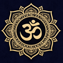 Anukriti APK