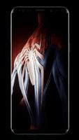 Spider-man Wallpapers FHD(4K) ảnh chụp màn hình 3