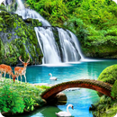 Wallpapers and Full HD Backgro APK