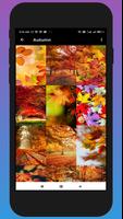 Wallpapers and Full HD Backgro اسکرین شاٹ 1