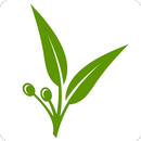 গাছগাছড়ায় রোগমুক্তি (Offline) APK