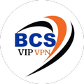 BCS VIP VPN