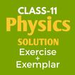Class 11 Physics Solution