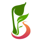PFS icon