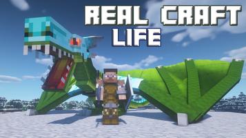 Real Life Craft Mod plakat