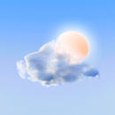 Daily Weather APK