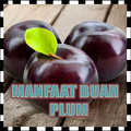 Manfaat Buah Plum