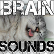 ”Brain Sounds Binaural Beats