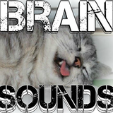 Brain Sounds Binaural Beats icon