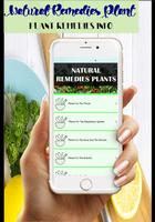 Natural Remedies Plants bài đăng