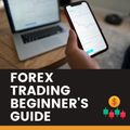 Forex Trading Beginner's Guide