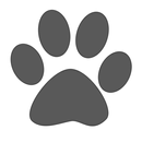 APK Dog Age
