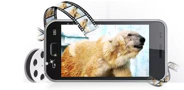VIDEO CONVERTER